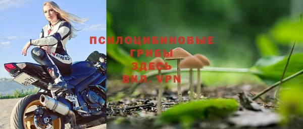 МДПВ Арсеньев