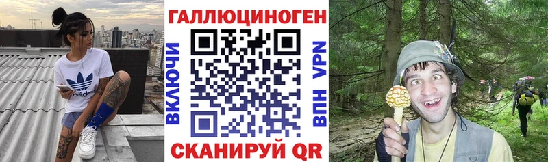 Псилоцибиновые грибы мицелий  где можно купить   нарко площадка как зайти  Рудня  мега  